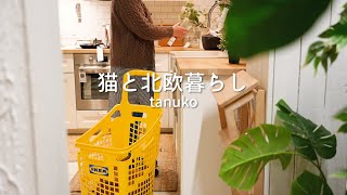 IKEAのお気に入りアイテムで北欧の冬を心地よく暮らす🌿 猫たちと過ごすスウェーデンの大晦日とお正月🇸🇪