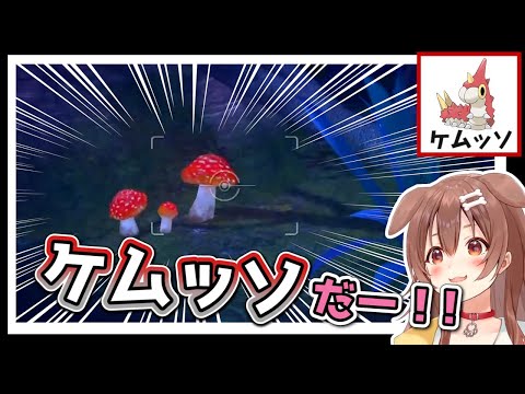 最近のポケモンを知らないころさんがNewポケモンスナップをやった結果ｗｗｗ【ホロライブ切り抜き】