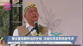 建议重推翻种油棕补贴  法迪拉将呈财政部考虑【2023.08.06 八度空间华语新闻】