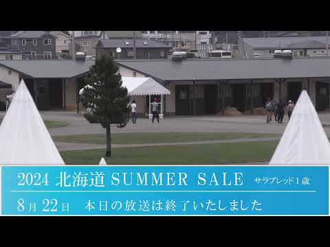 2024 北海道サマーセール4日目　生中継