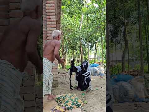 🎃👻Halloween Scary Ghost Man Fake Tiger Prank On Rest Man! | Sagor Bhuyan