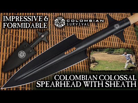 BUDK: A Massive 11” Colombian Colossal Spearhead