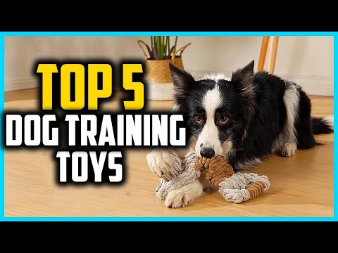 ✅Top 5 Best Dog Training Toys in 2025