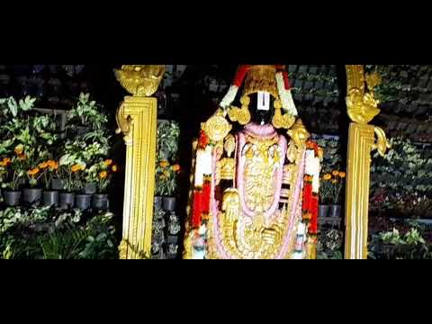 tirumala vengamamba Bojana shala TTD #Tirumala #TTD