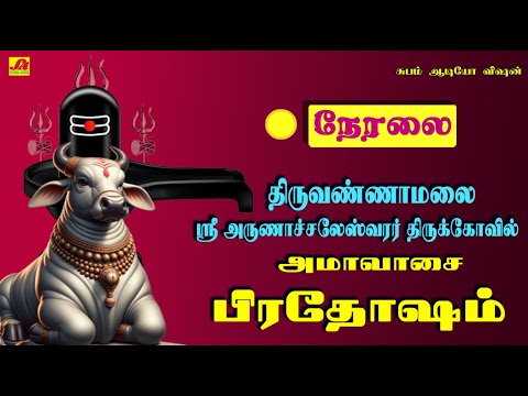 🔴  LIVE திருவண்ணாமலை பெரியநந்தி  ஐயப்பசி மாதம் அமாவாசை பிரதோஷம் அபிஷேகம்  #liveprodhasham