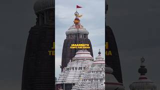 "Jagannath Temple: Puri, Odisha!" #jagannath #puri #shorts