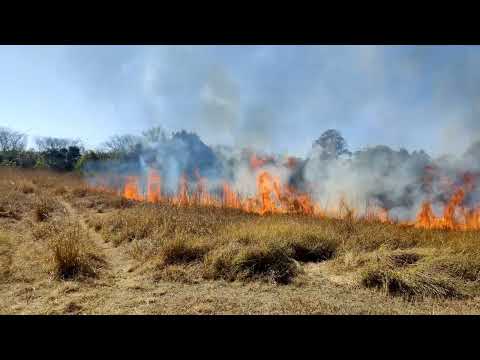 Grassland fire grass☘️🔥🔥🔥 #4k #shorts