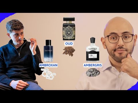 Perfumer Explains What Individual Fragrance Notes Smell Like | Cologne / Perfume Guide 2024