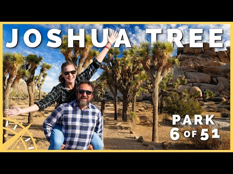 🗺️🚙 Joshua Tree: When You Only Have One Day | 51 Parks with the Newstates