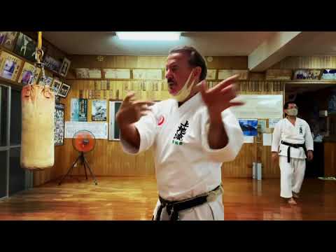 Uechiryu techniques use Tanden Kenseikai Hombu Dojo Okinawa #karate #okinawa #空手 #沖縄 #上地流 #uechiryu