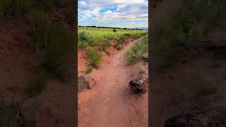 Murphy Point Trail #canyonlandsnationalpark #canyonlands #scenic #hike #hiking #vista #panorama