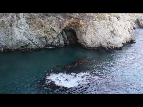 2 Minutes in Partington Cove, Big Sur