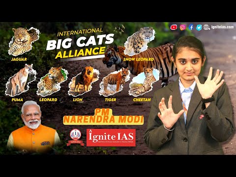 Uniting for Protection and Conservation of BIG CATS | IBCA#narendramodi #igniteias #tiger #worldwide