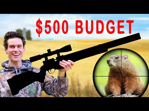 $500 PCP Air Rifle Hunting Challenge!