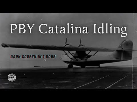 PBY Catalina Plane Idling | Relaxing Aircraft Engine Sounds for Sleep & Focus