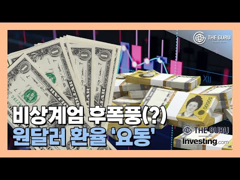 비상계엄 후폭풍(?) 원달러 환율 ‘요동’