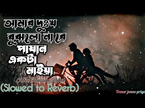 Pashan Akta Maiya Lofi~Verson | (আমার দুঃখ বুঝলো নারে) | Abir Hassan Rakib | New Lofi Bangla Song