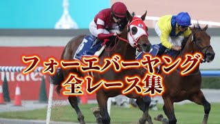 【競馬】フォーエバーヤング 全レース集 (新馬戦〜ケンタッキーダービー)