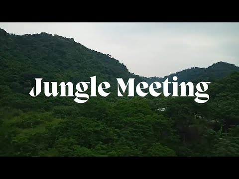 Tato Schab - Jungle Meeting