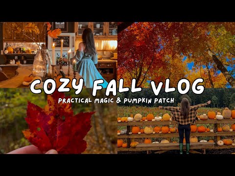 🍁 Cozy Fall Vlog 🍂 Practical Magic Day, Cozy Autumn Vlog, Romanticizing Autumn, Cozy Day, Slow Life