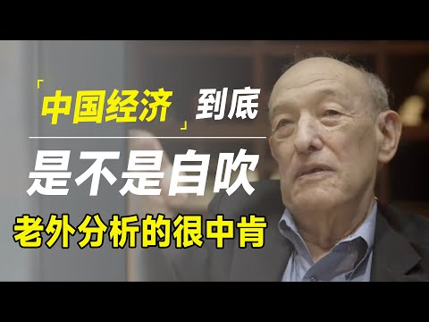 中国经济是自吹？听听外国专家怎么说，讲的很中肯