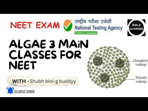 Algae 3 main classes for NEET 2025 #neet2025#neetncertbiology#nta#neetpreparation#neetexam #11thbio