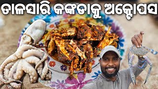 Fresh Seafood of Talsari Beach ⛱️  | Bhadrak 2 Digha Bike Ride |