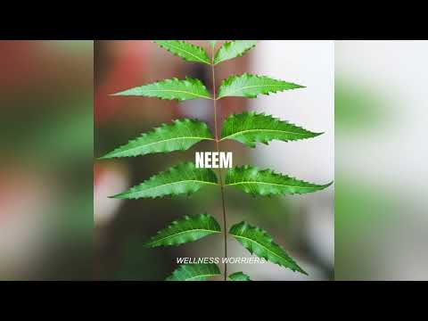 NEEM HEALTH BENEFITS (नीम का फ़ायदा )