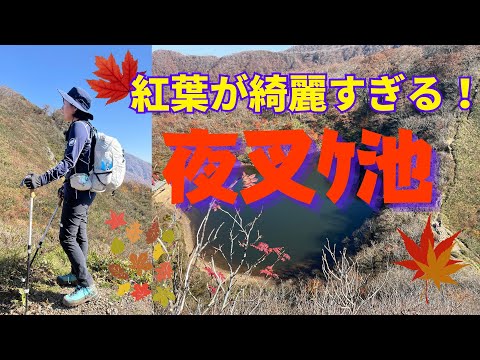 【紅葉登山】夜叉ケ池に登ったら紅葉🍁🍃が凄かった！