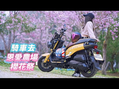 【旅遊】平日騎車賞櫻去｜帶飄嫂去拉拉山恩愛農場霧裡看花｜台七乙雙載初體驗｜KRNBT