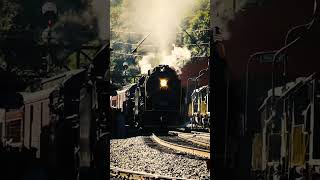 Reading and Northern #steam #locomotives #2102 & #425 arriving in Port Clinton, PA