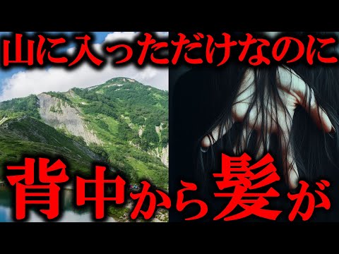 【 洒落怖 × 民俗学 】もう逃げられない…有名怪談『  山に魅入られた  』考察【 都市伝説 解説 天道巳弧 Vtuber 】