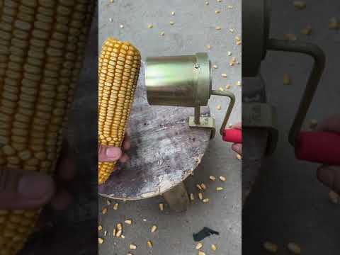 How to Make Your Corn Thresher #shorts