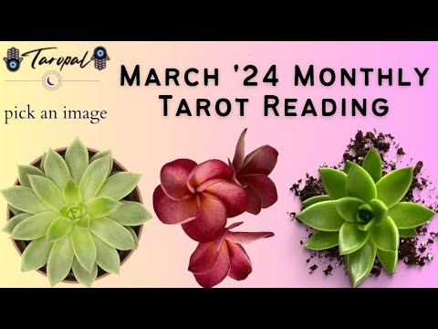 March '24 Monthly Tarotscope 》Love❣️Career💻Money💵Health.🥗🪬 #march #monthlypredictions