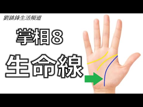 掌相8 生命線 (開啟字幕)｜睇掌 掌紋年歲  三角紋 島紋 重疊 短 中斷 雙重線 交叉紋 接疊| 劉鎮鋒生活頻道