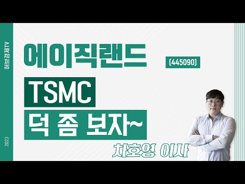 에이직랜드 (445090) - TSMC 덕 좀 보자~