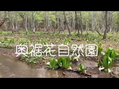 奥裾花自然園