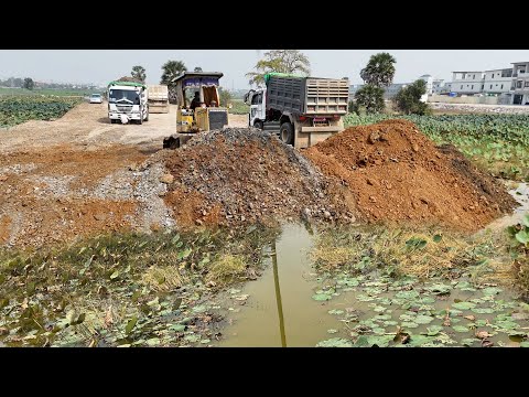 Getting New Activities Bulldozer Komatsu D31P Pushing Soil Mix Stone Cover On Lotus Fields