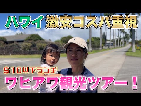 【ハワイ激安コスパ重視】ワヒアワ観光ツアーの回！