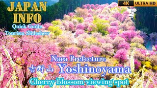 Yoshinoyama - Mt. Yoshino Nara Prefecture - Japan Travel Quick Guide - Famous cherry blossom spots