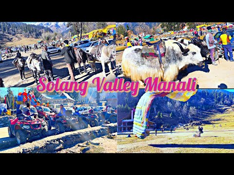 Solang Valley Manali | Solang Valley Trip | Manali Tour Guide | Manali vlog part-3 | Raja Bhaiya