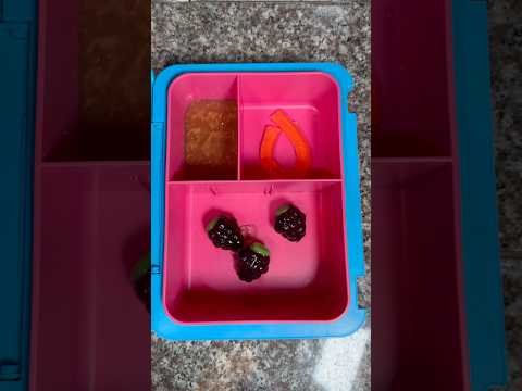 Packing School Lunch *ONLY GUMMY FRUIT* #shorts