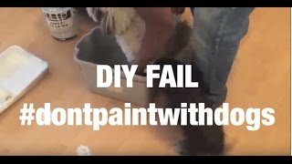 DIY FAIL!!! #hireapro #dontpaintwithdogs!