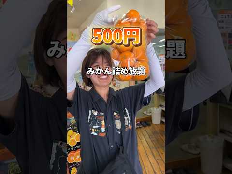 500円でできるみかん詰め放題！