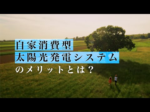 自家消費型太陽光発電システムのメリット【自家消費 太陽光発電】