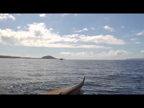 Maui Sailing Canoe Whale Watch from Wailea