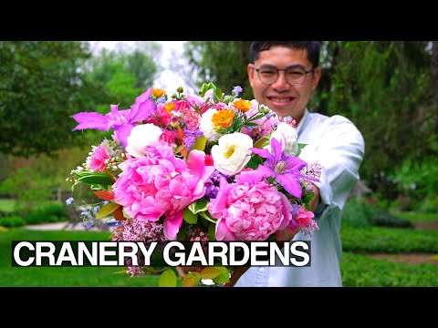 How to Arrange Spring Flowers, May Garden Update