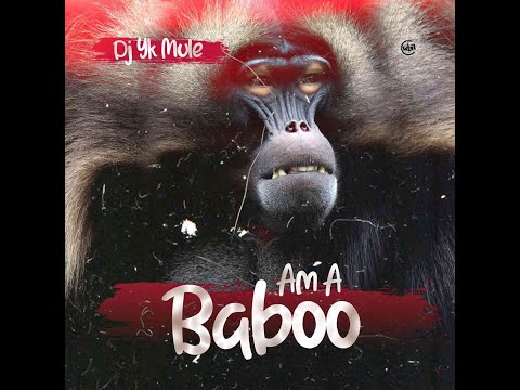 DJ YK Mule - Am A Baboo (Official Audio)