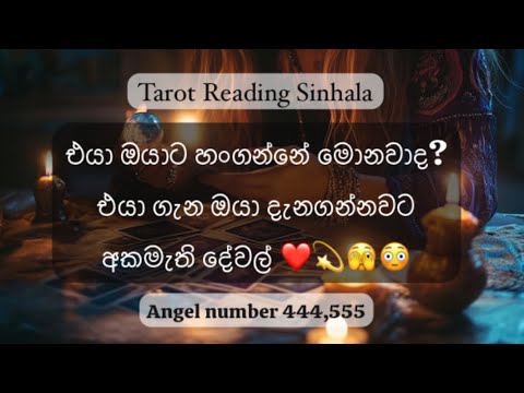 What are they hiding from you ❤️🫣🤨 #tarot #secret #truthreveiled #love