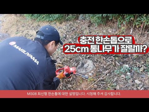 미니 충전 톱으로 25cm 통나무를 자를 수 있을까?